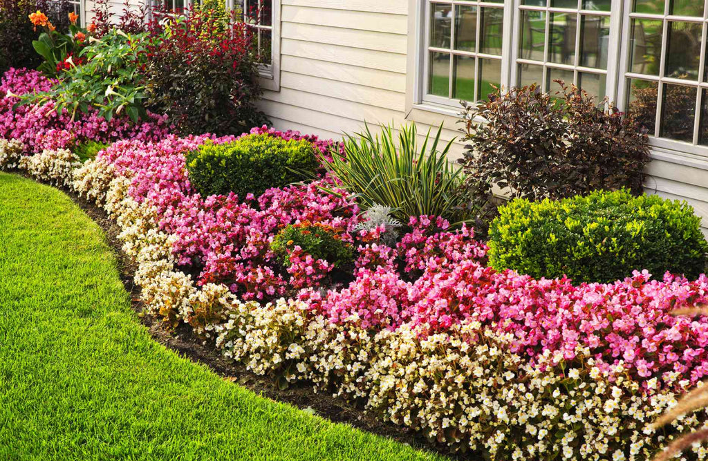 simple flower bed ideas for front house