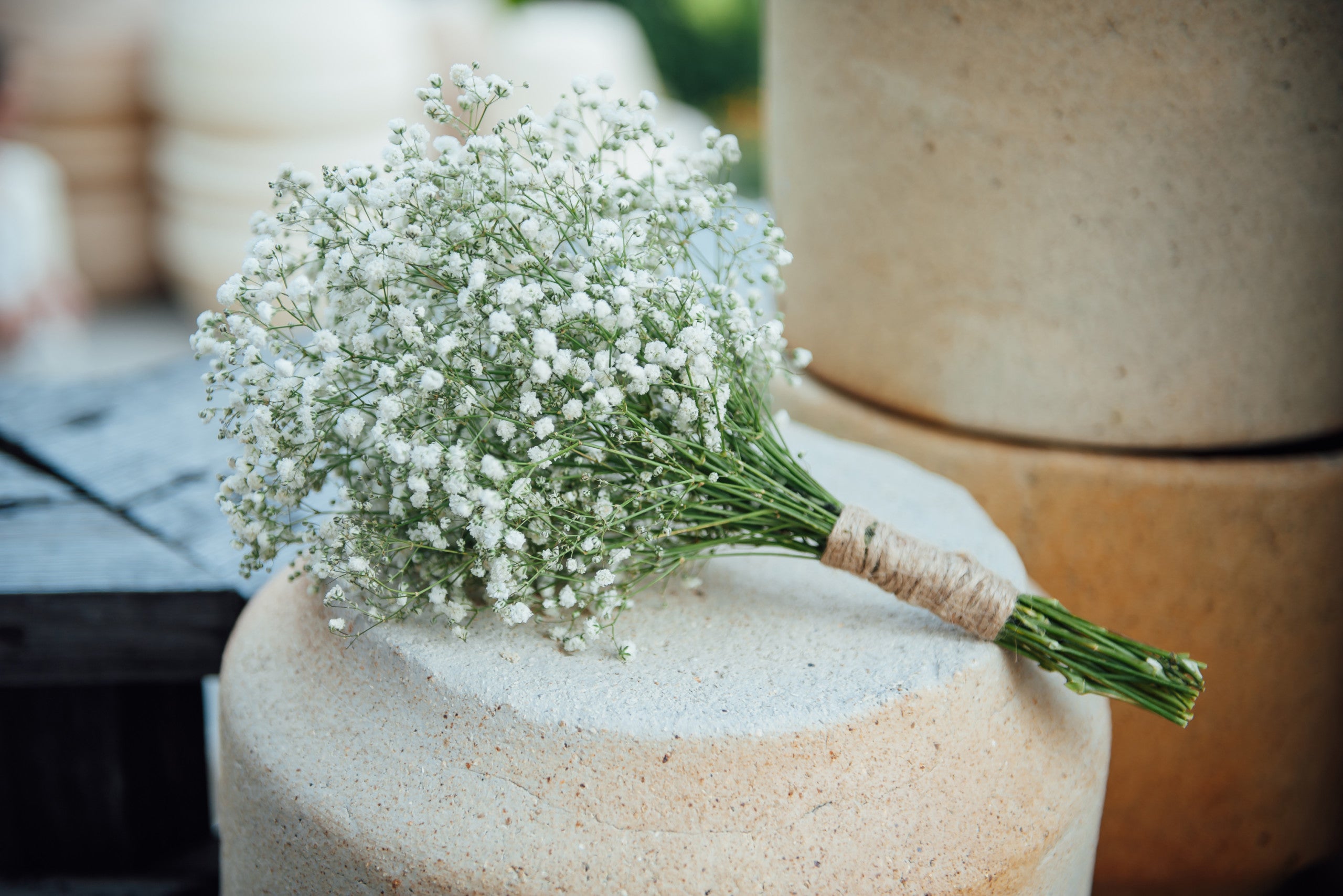 Flowers that start with G Gypsophila (Baby's Breath)