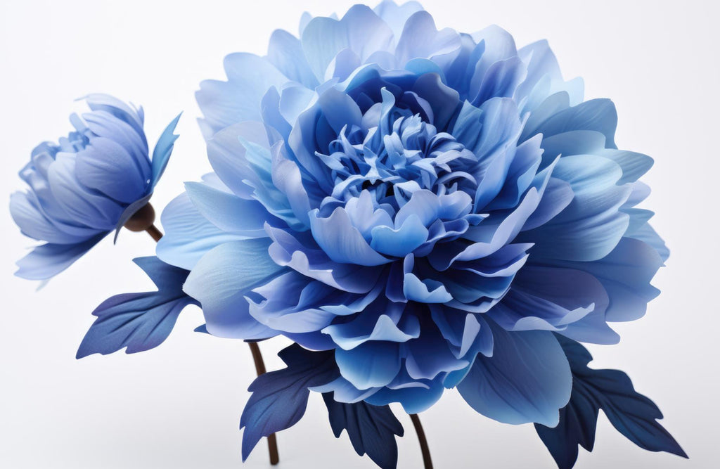 Blue Carnation Flowers