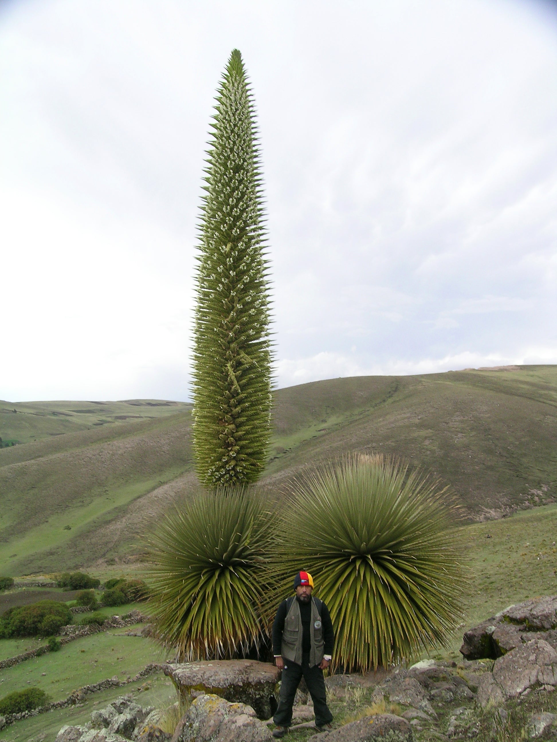 rarest flower in the world