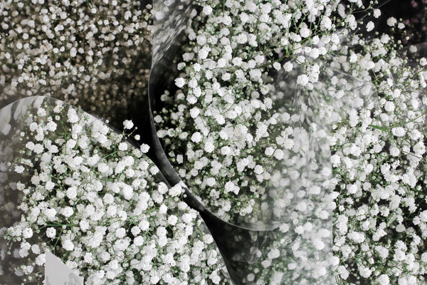 Dainty Baby's Breath