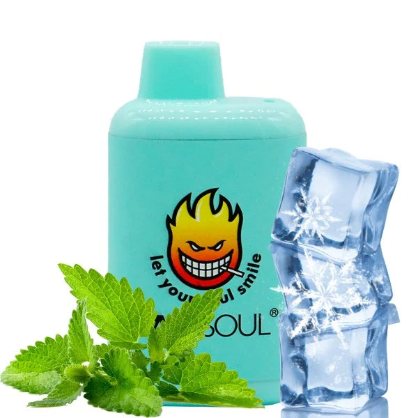 CAIXA VAPESOUL 8.000 GHOST PLUS - 10 UNIDADES 2