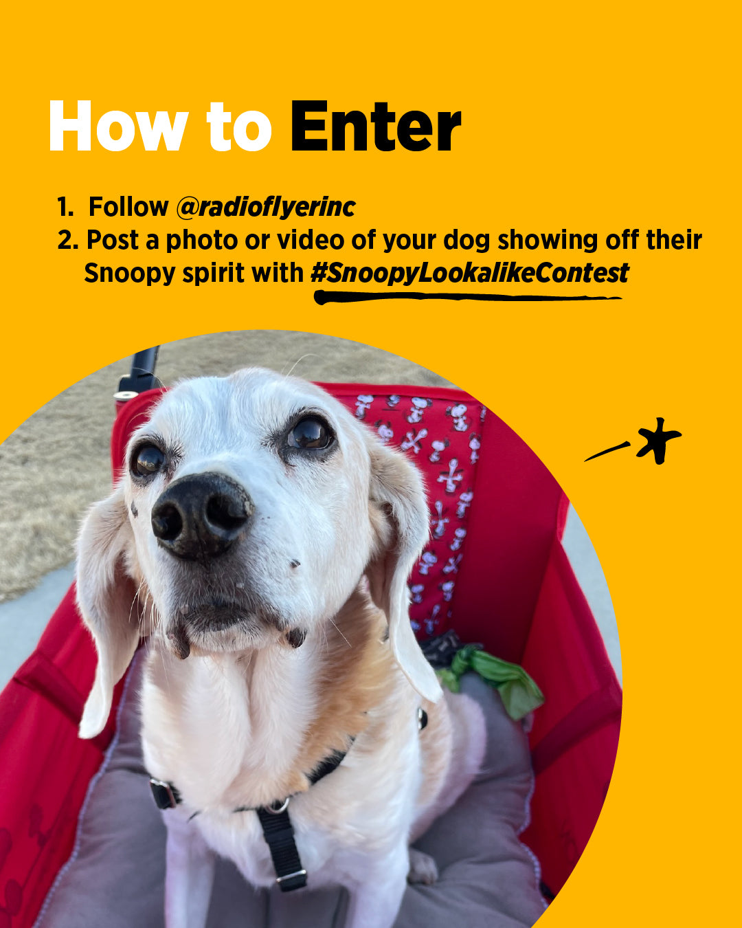 Snoopy lookalike ContestArtboard 3.jpg__PID:22676443-d8e1-45bf-8627-46f67a455420