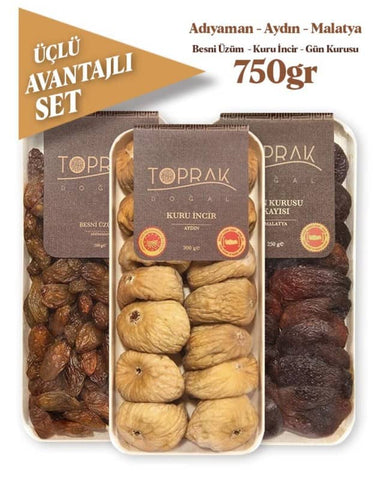 toprak doğal kuru meyve seti 3'lü 750gr