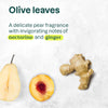 ATTITUDE Super leaves™ Body Lotion Nourishing Olive Leaves 18183_en? Olive Leaves