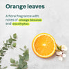 Adult Hair Detangler 11128_en? Orange Leaves