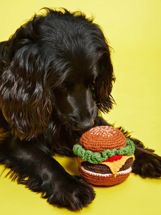 Hand Knit Peanut Butter Dog Toy