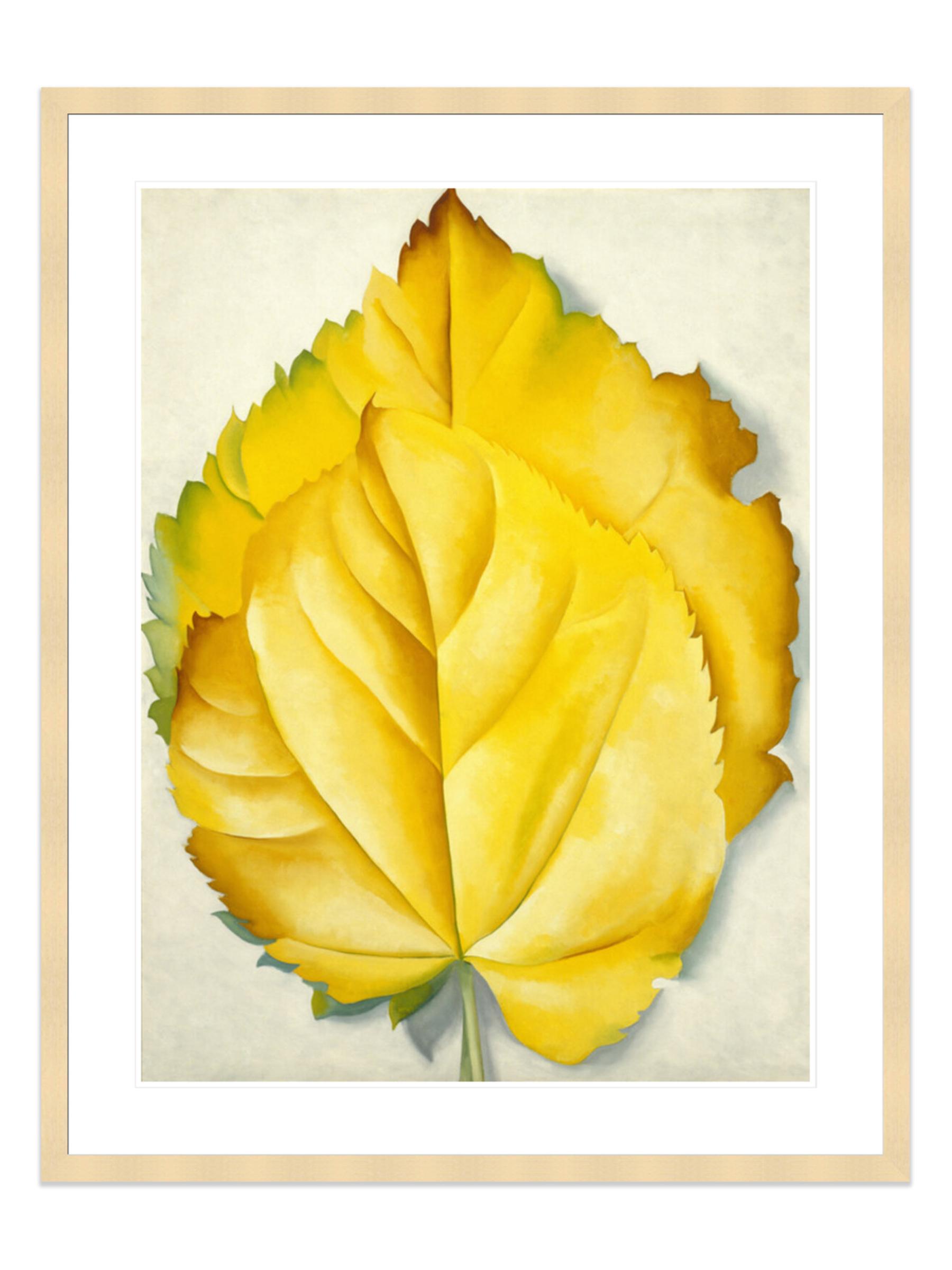 2 Yellow Leaves (Yellow Leaves) (Print) by Georgia O'Keeffe