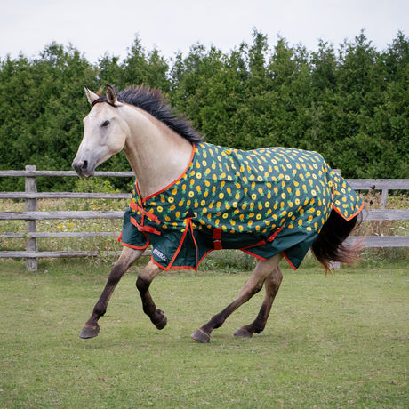 Thermal Therapy Fleece Cooler – Greenhawk Equestrian Sport