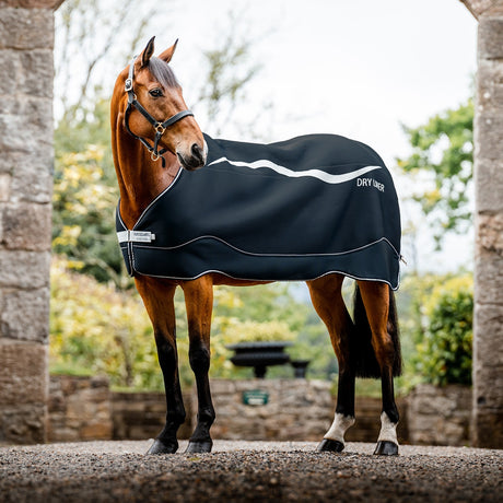 Stable Rug Bucas Quilt Stay Dry 150g - Our Saddlery .com