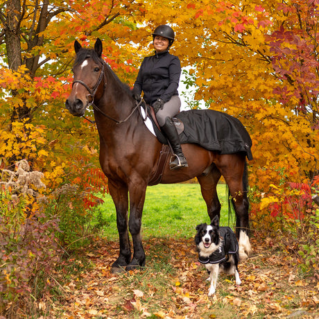 Tipperary Ride Lite Vest - Kids\' – Greenhawk Equestrian Sport