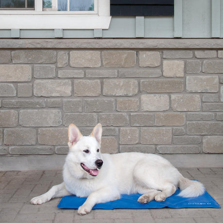 Shedrow K9 - Our Shedrow K9 Mud Mats are made for those dogs who always  find a way to get themselves muddy and dirty - like Bailey! Able to soak up  to