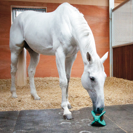 Likit Friandise pour cheval au sel gemme 1 kg – Greenhawk