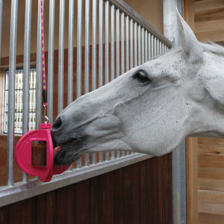 Jouet pour cheval Likit Starter - Écurie