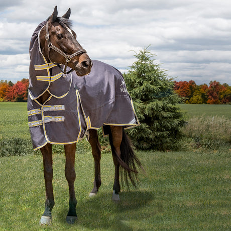 Canadian Horsewear Blanket Leg Straps - The Rusty Spur