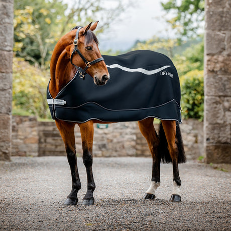 Stable Rug Bucas Quilt Stay Dry 150g - Our Saddlery .com