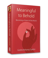 Meaningful to Behold book