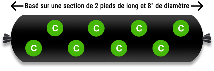 guide de plantation pour la menthe