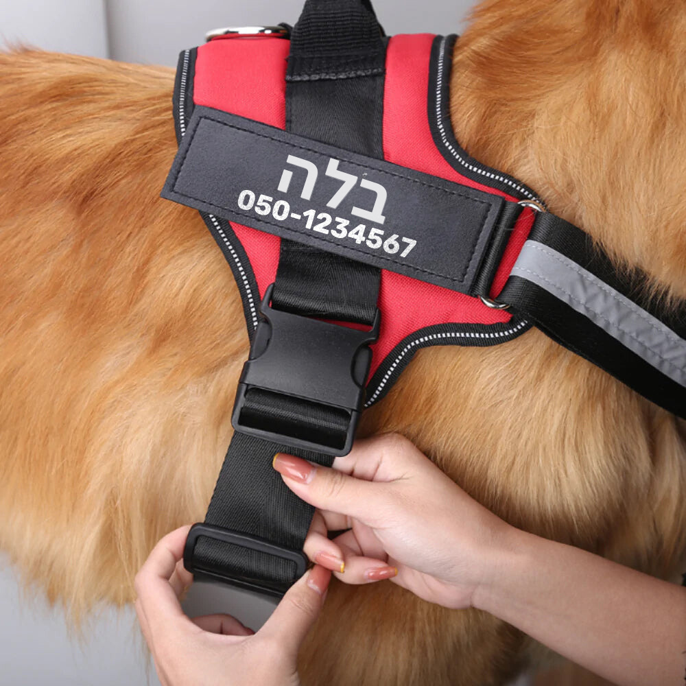 רתמת SafeWalk® - הרתמה המקורית נגד משיכות ופציעות - FourPawTreats product image