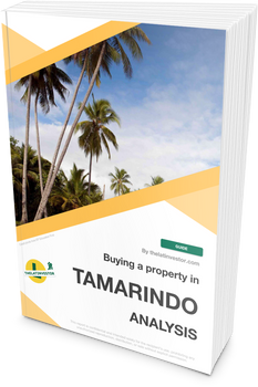 buying property in Tamarindo