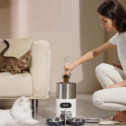 Distributeur de croquettes pour chat - Nourrissez votre félin avec précision - GIF