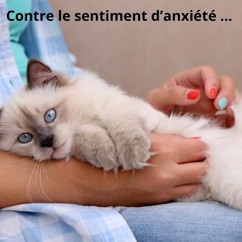 Contre le sentiment d'anxiété...