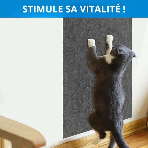 Tapis griffoir chat - Vitalité