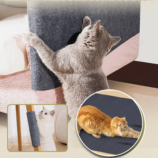 Tapis griffoir chat - Canapé