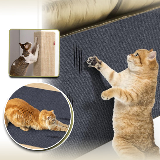 Tapis griffoir chat - Canapé2