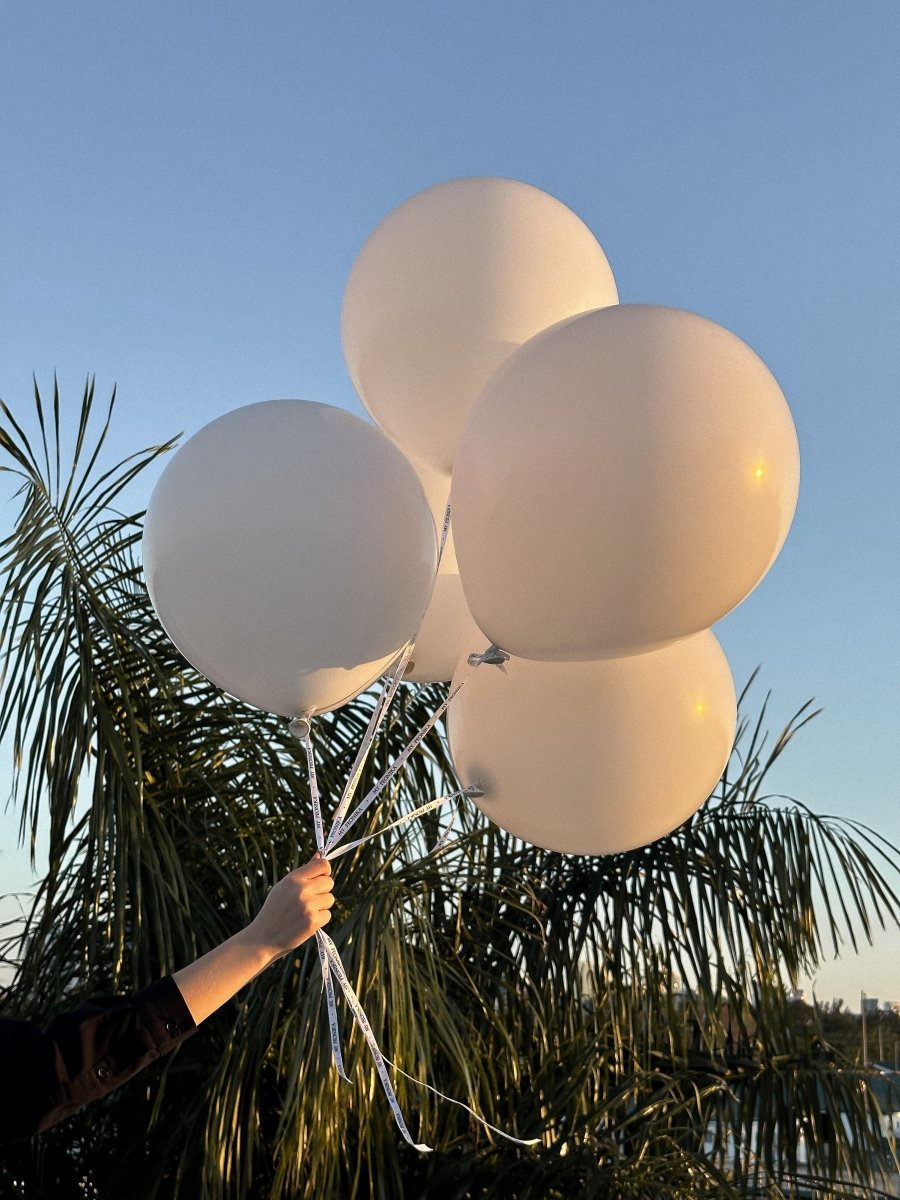 clear extra large stuffed balloons decor｜TikTok Search