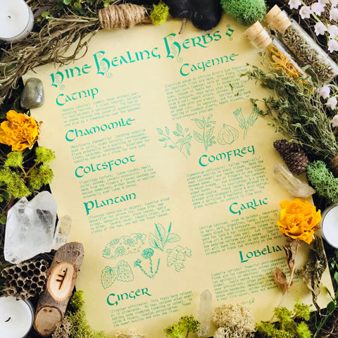 Healing Herbs Parchment Book of Shadows Page - Sabbat Box