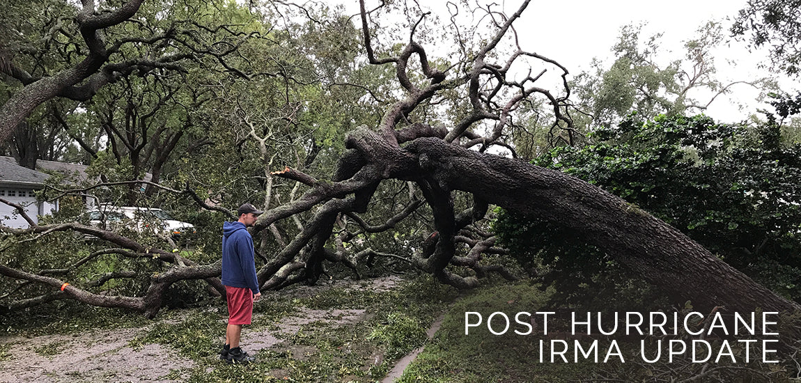 Sabbat Box Post Hurricane Irma Update 2