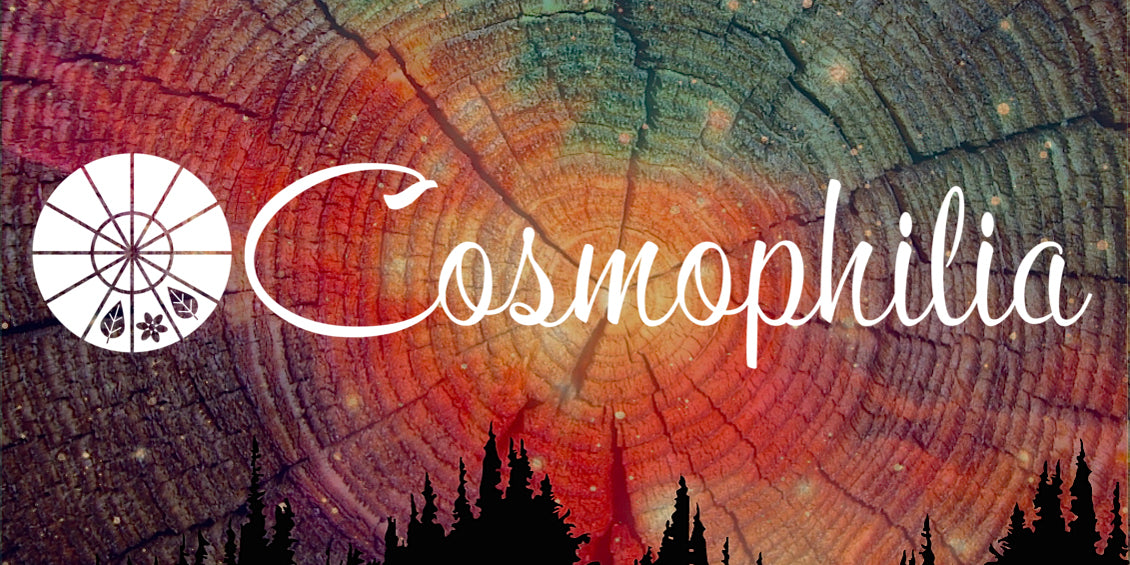 Cosmophilia Astrological Herbals - Sabbat Box Midsummer 2019