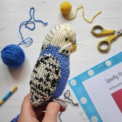 Knitted blue budgie