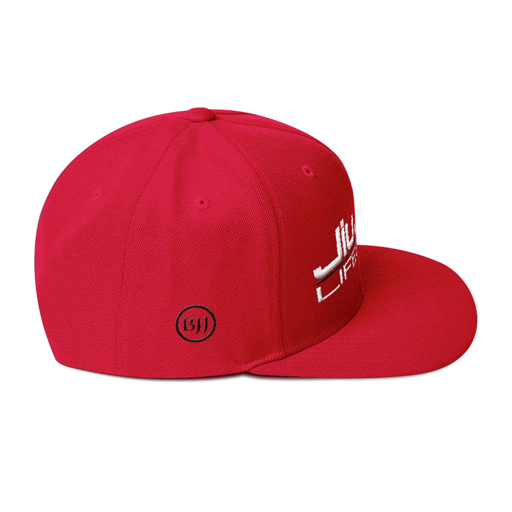 Jiu Jitsu Lifestyle - Snapback Hat – BJJ Problems