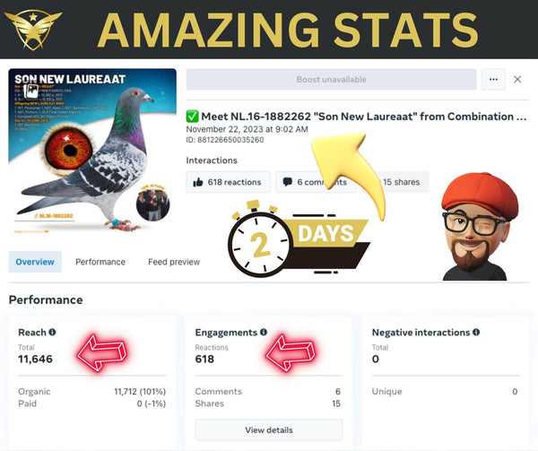 Amazing Stats in two days for De Pijper Racing Pigeons Advertisement
