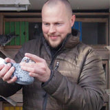 Anders Brobech, De Klak racing pigeons for sale