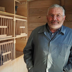 Dirk van den Bulck, racing pigeons for sale