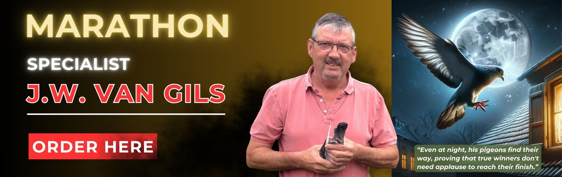 J.W. van Gils, Marathon Racing Pigeons For Sale