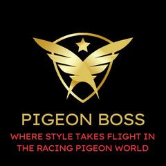 Pigeon Boss: where style takes flight in the racing pigeon world.