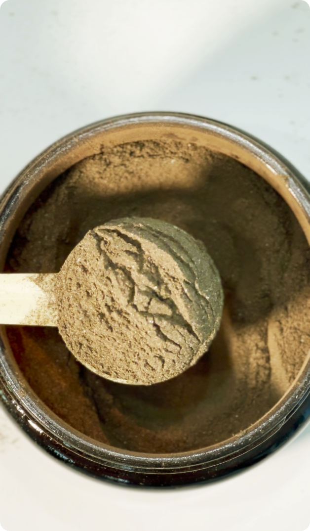 A scoop of brownish powder in a container.