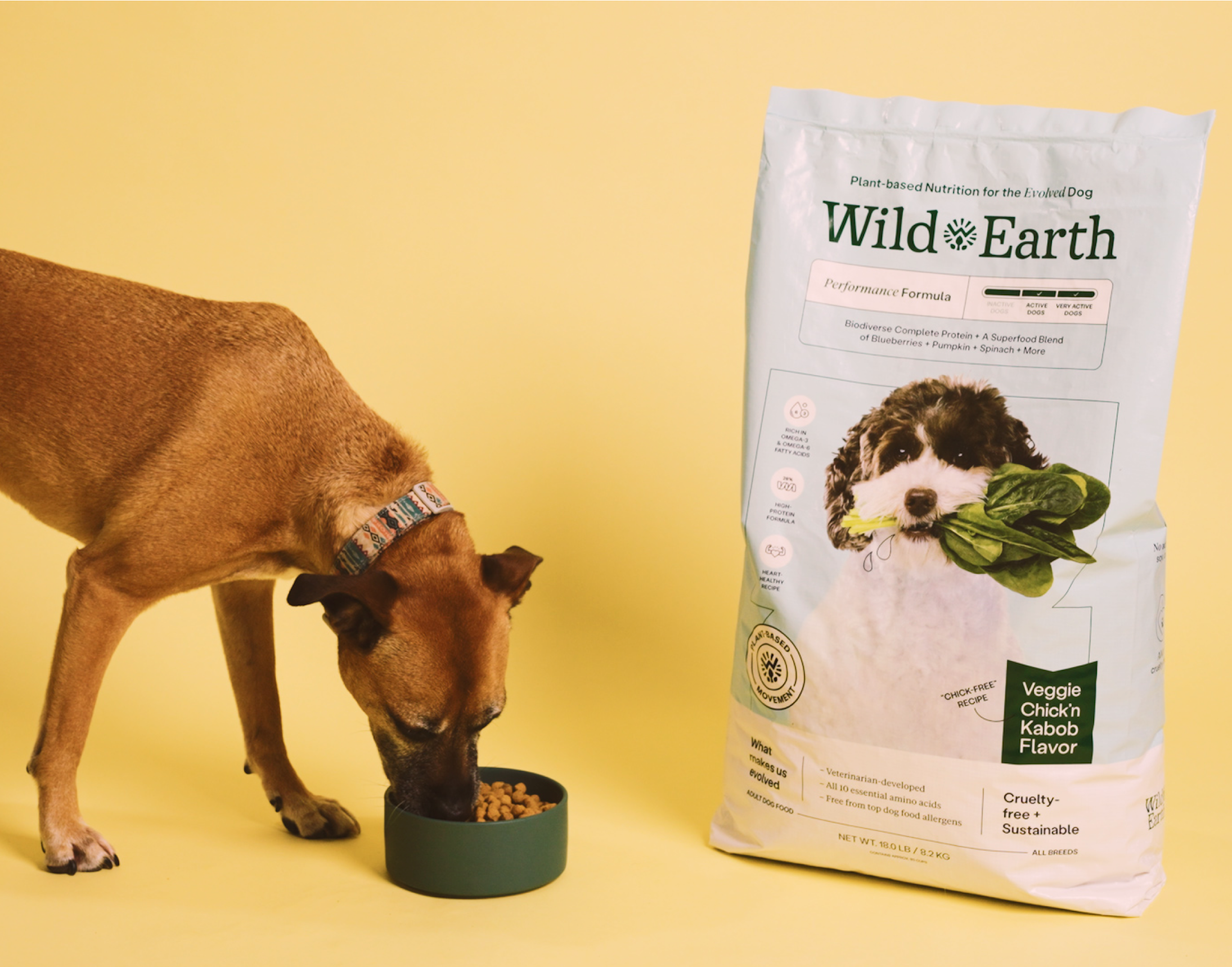 A dog eating from a bowl next to a bag of Wild Earth dog food.