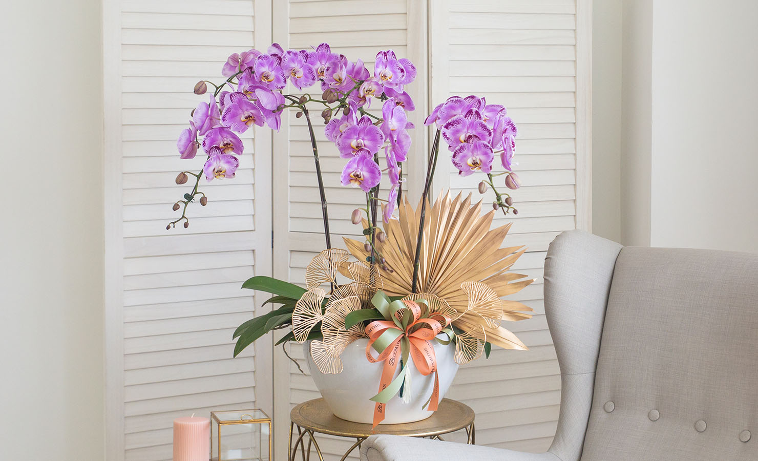 Shop Raya Phalaenopsis Orchid | BloomThis