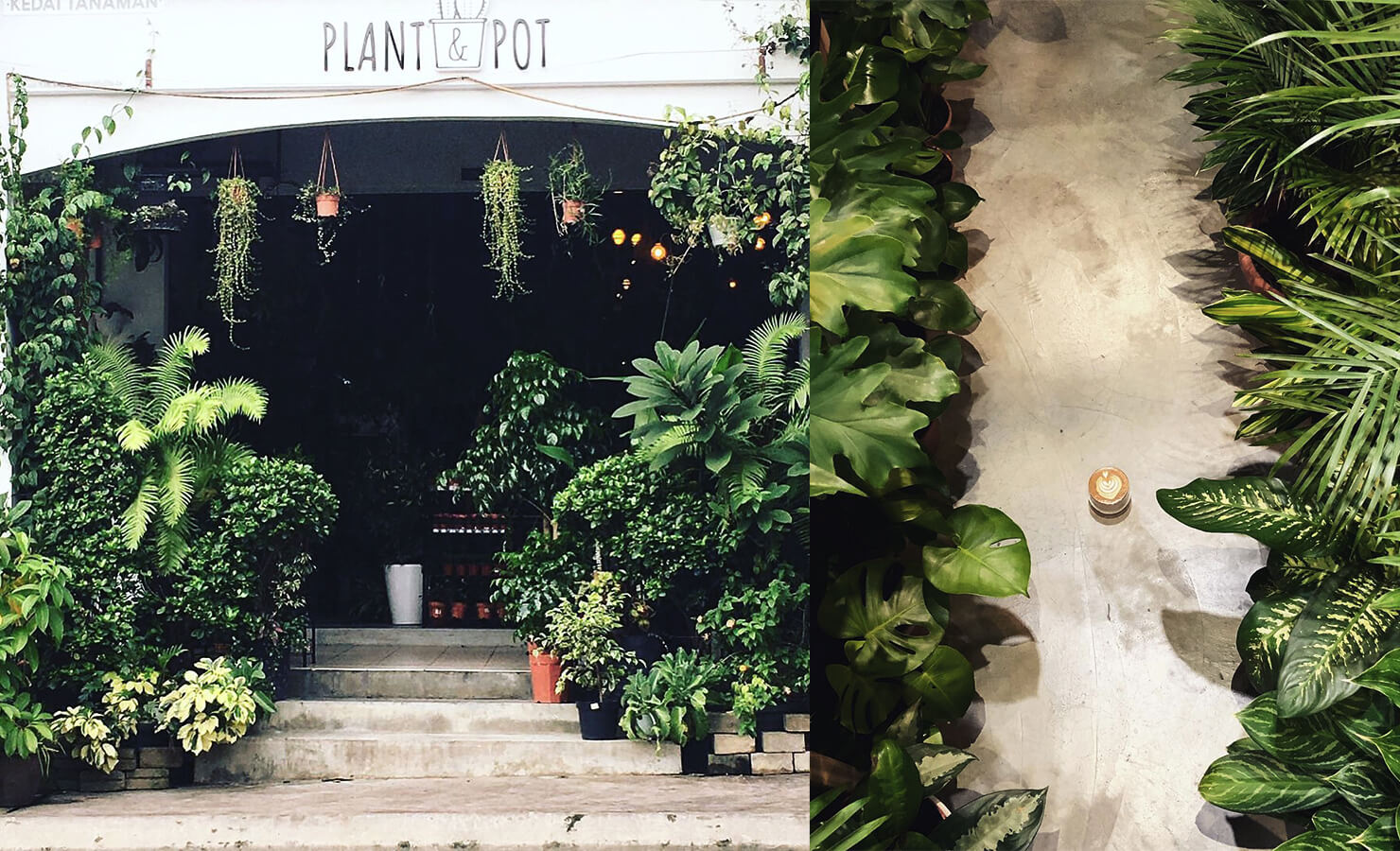 bloomthis-5-plant-flower-cafes-you-have-to-visit-05-sipping-corner-cafe