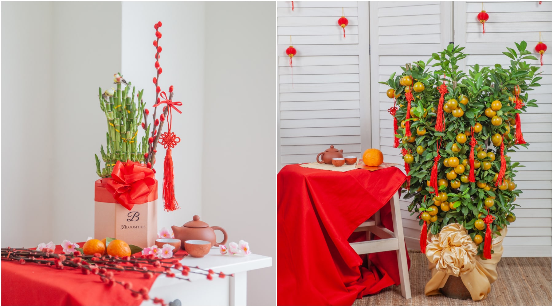 bloomthis-chinese-new-year-gift-guide-chinese-lucky-bamboo-lime-tree