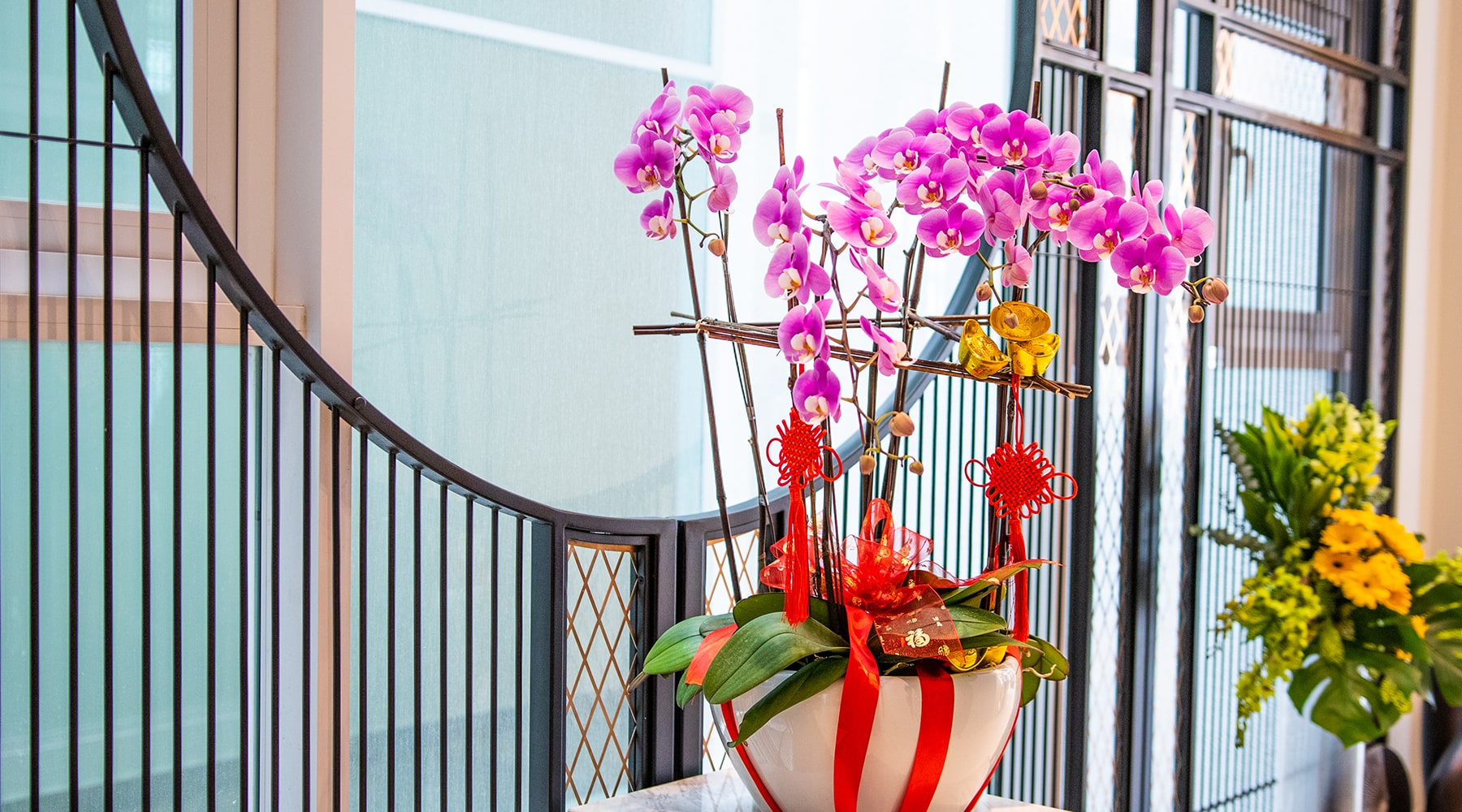 bloomthis-chinese-new-year-gift-guide-chinese-new-year-phalaenopsis-orchid-5-stalks