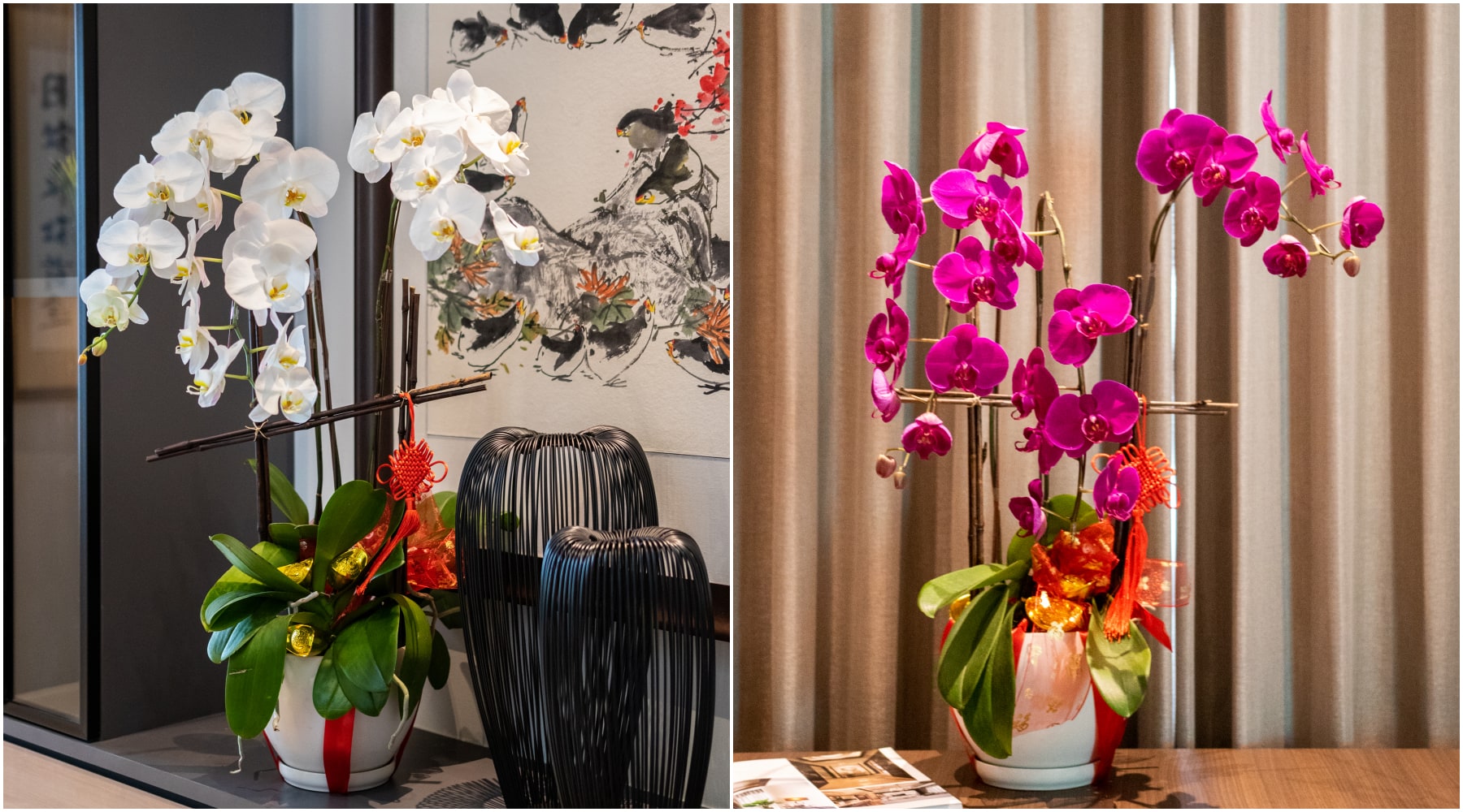bloomthis-chinese-new-year-gift-guide-chinese-new-year-phalaenopsis-orchids