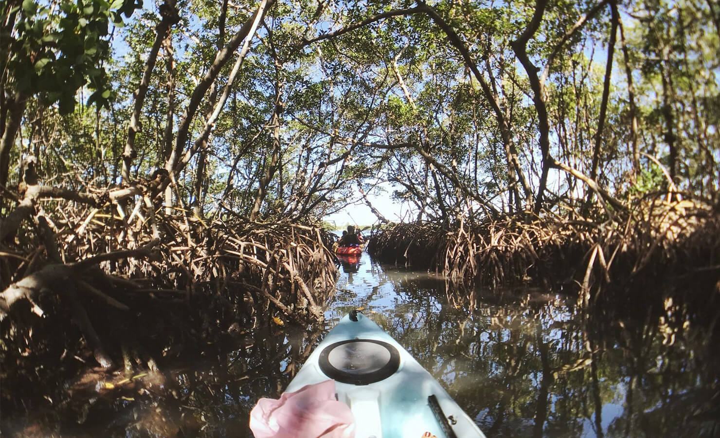 bloomthis-hidden-gems-in-malaysia-10-mangrove-kayaking-bagan-lalang-selangor