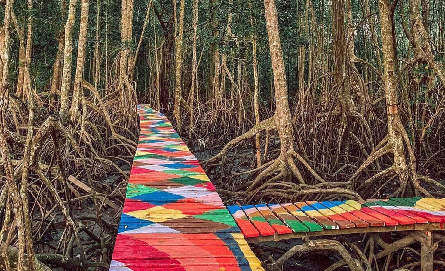 bloomthis-hidden-gems-in-malaysia-17-rainbow-bridge-pitas-mangrove-sabah