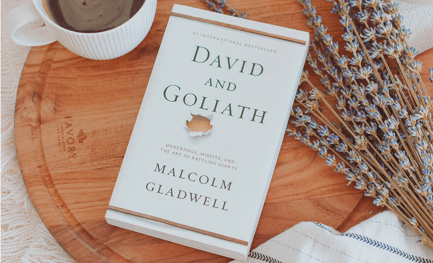 bloomthis-reads-series-05-david-and-goliath-malcolm-gladwell